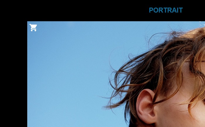 カートアイコン